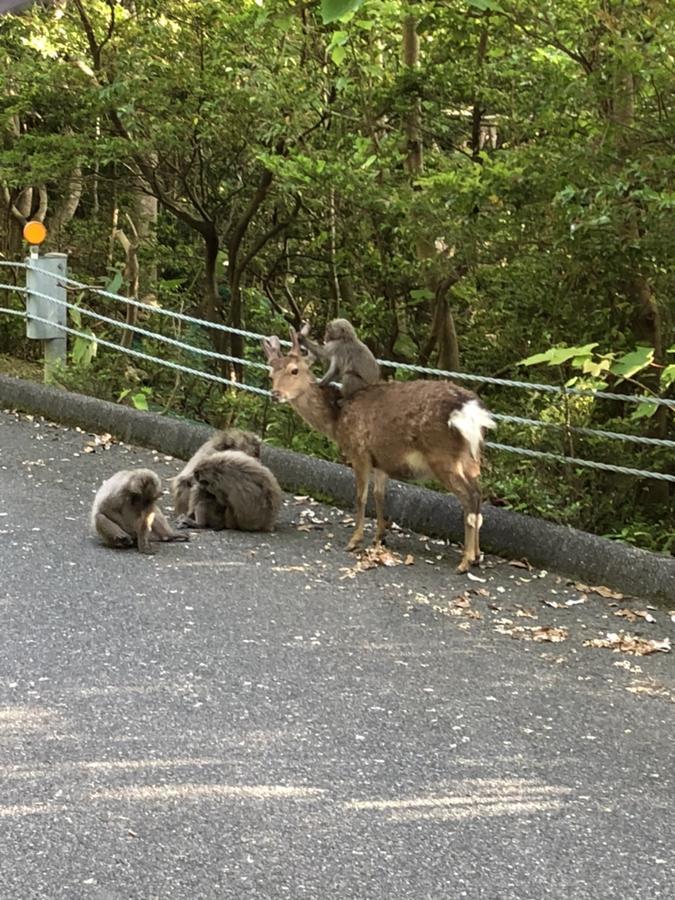 Yakushima Pension Luana House Zewnętrze zdjęcie